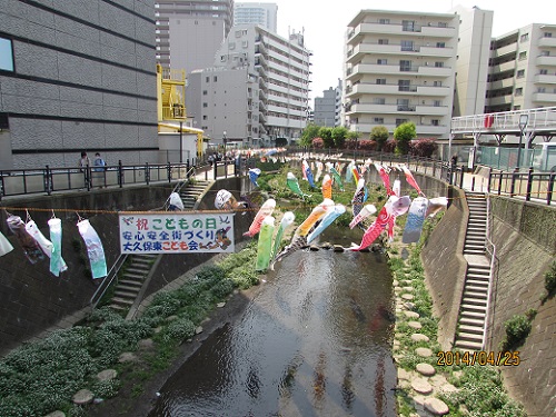 H27.5 こいのぼり (1).JPG