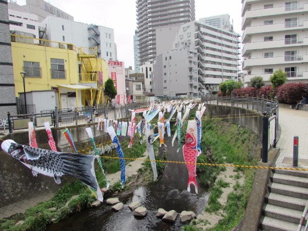 上大岡 こいのぼり