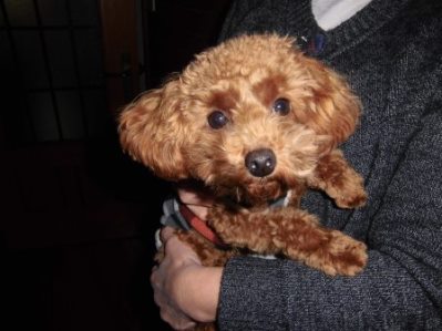 サンドブラスト モデル.01.jpg