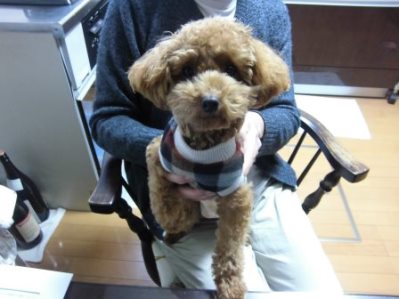 サンドブラスト モデル.02.jpg