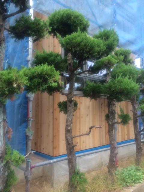 チャネル (1).JPG